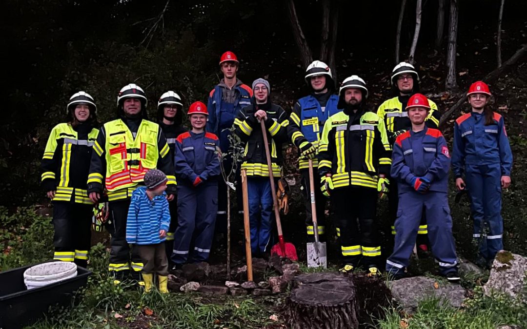 Baumpflanzchallenge 2025